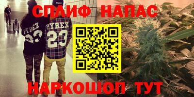 дживик Моздок