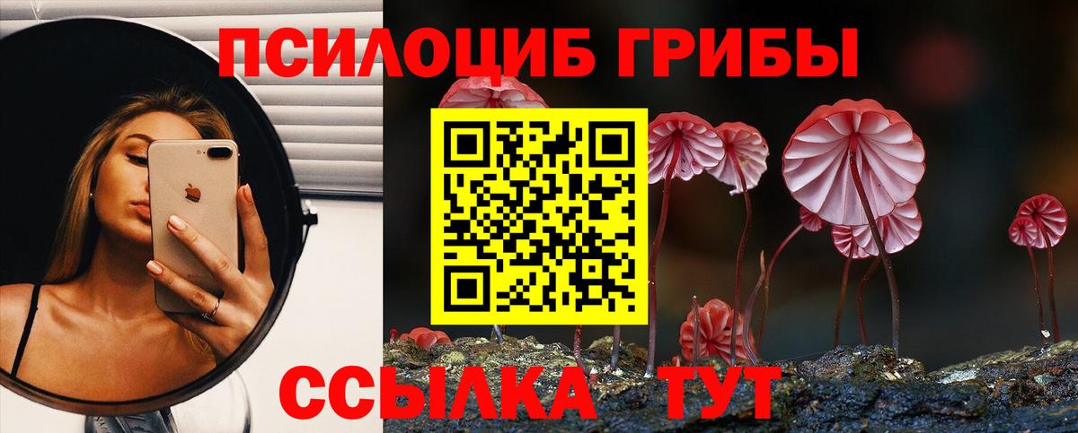 Воскресенск  Псилоцибиновые грибы мухоморы  Вход с VPN 